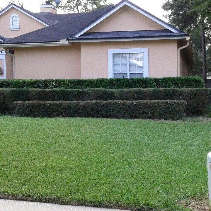 Top-rated garden landscaping in Saint Johns, FL - Coastal Cuts Lawn and Landscape Services
