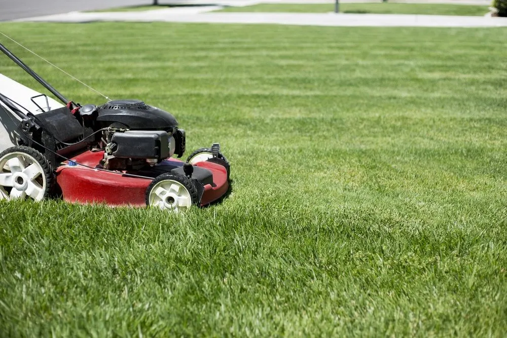 Reliable residential landscaping experts serving Virginia Beach, VA - Coastal Cuts Lawn Care