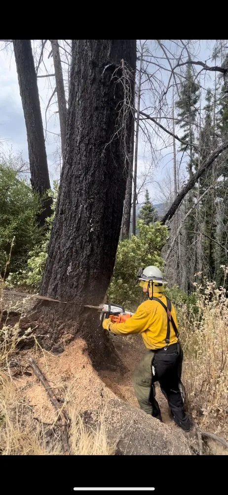 Top-rated yard maintenance for outdoor upgrades across Soquel, CA - Coastal Defense