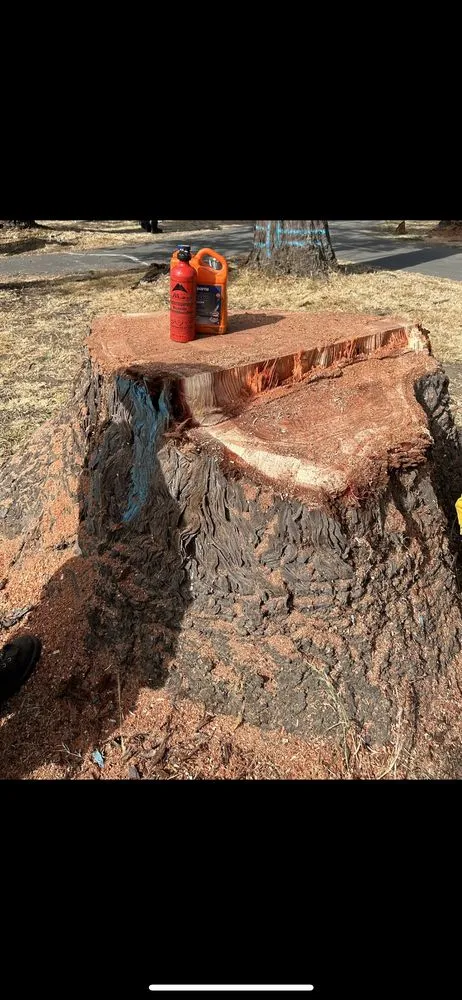 Top-rated yard maintenance for beautiful yards in Soquel, CA by Coastal Defense