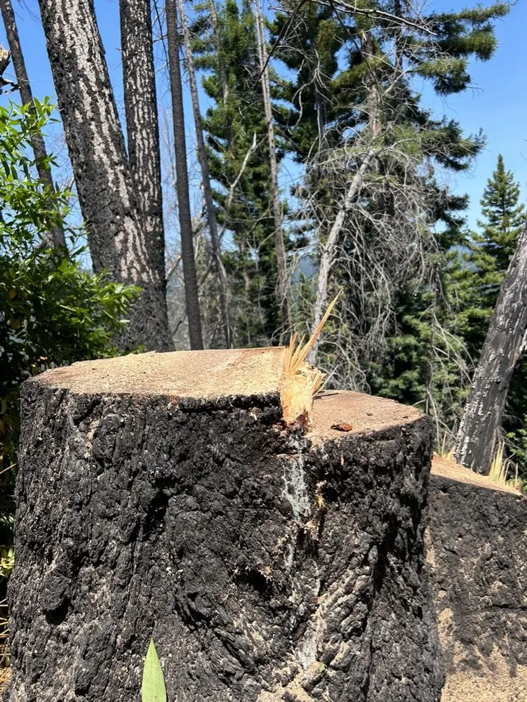 Reliable landscape design experts serving Soquel, CA - Coastal Defense