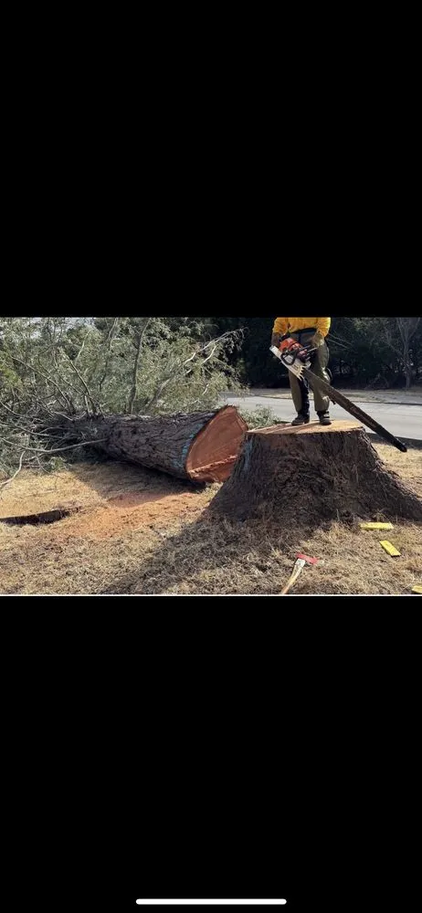 Custom residential landscaping in Soquel, CA by Coastal Defense