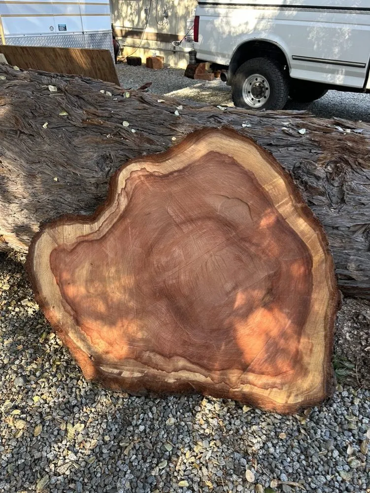 Top-rated lawn care service experts serving Soquel, CA - Coastal Defense