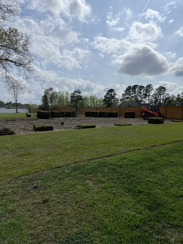 Reliable yard cleanup service near you across Conway, SC - Coastal Digs