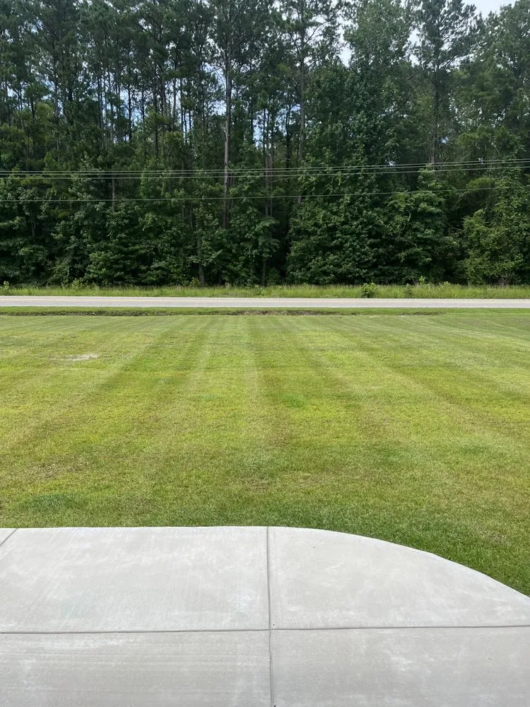 Expert garden landscaping with custom design across Conway, SC - Coastal Digs