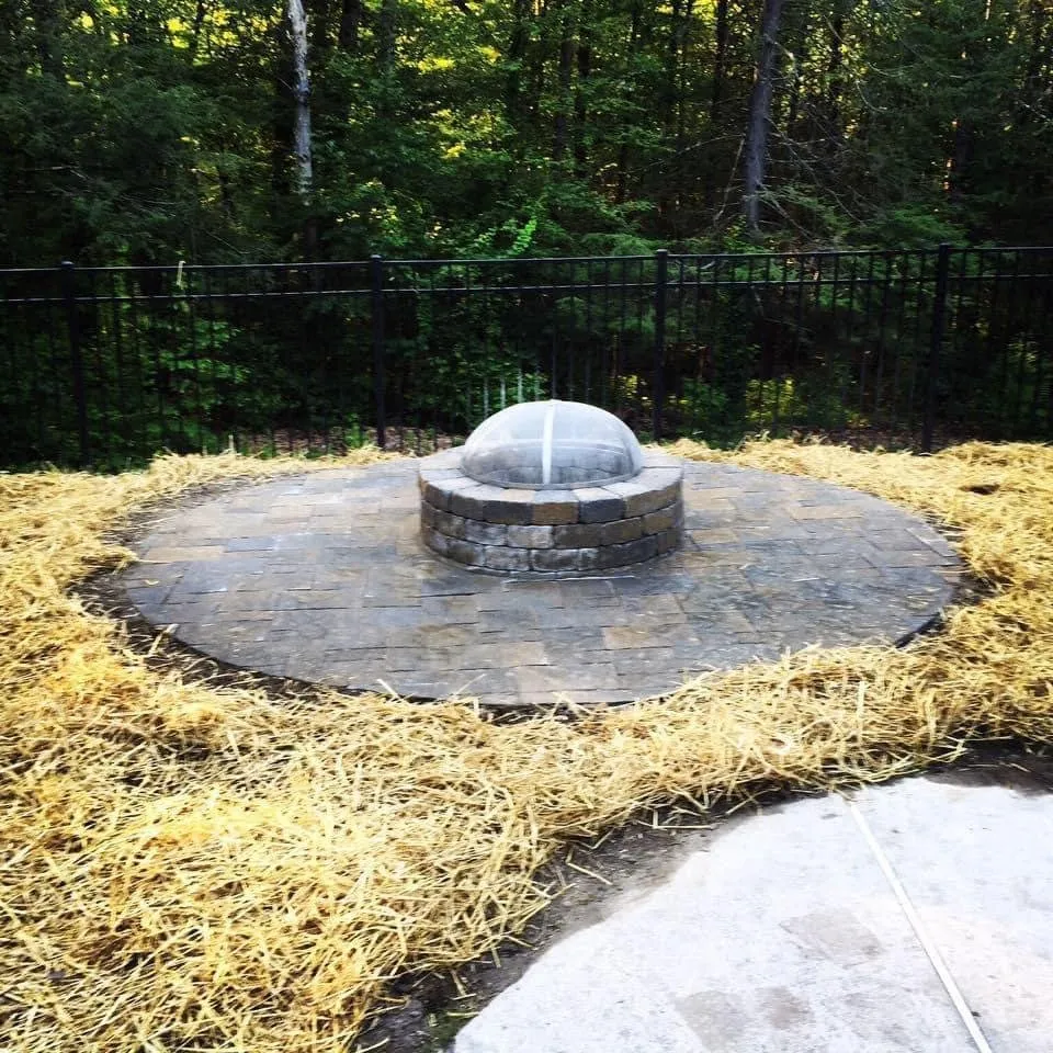 Reliable yard cleanup service in Conway, SC - Coastal Digs