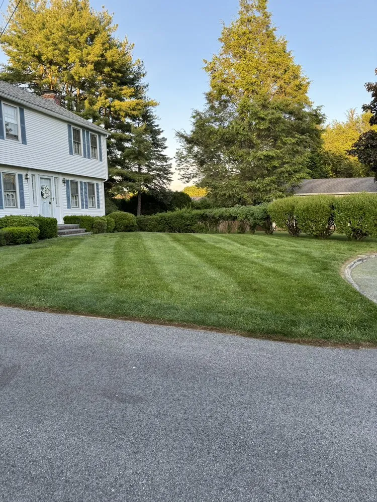 Top-rated yard cleanup service experts serving Warwick, RI - Coastal Earthworks