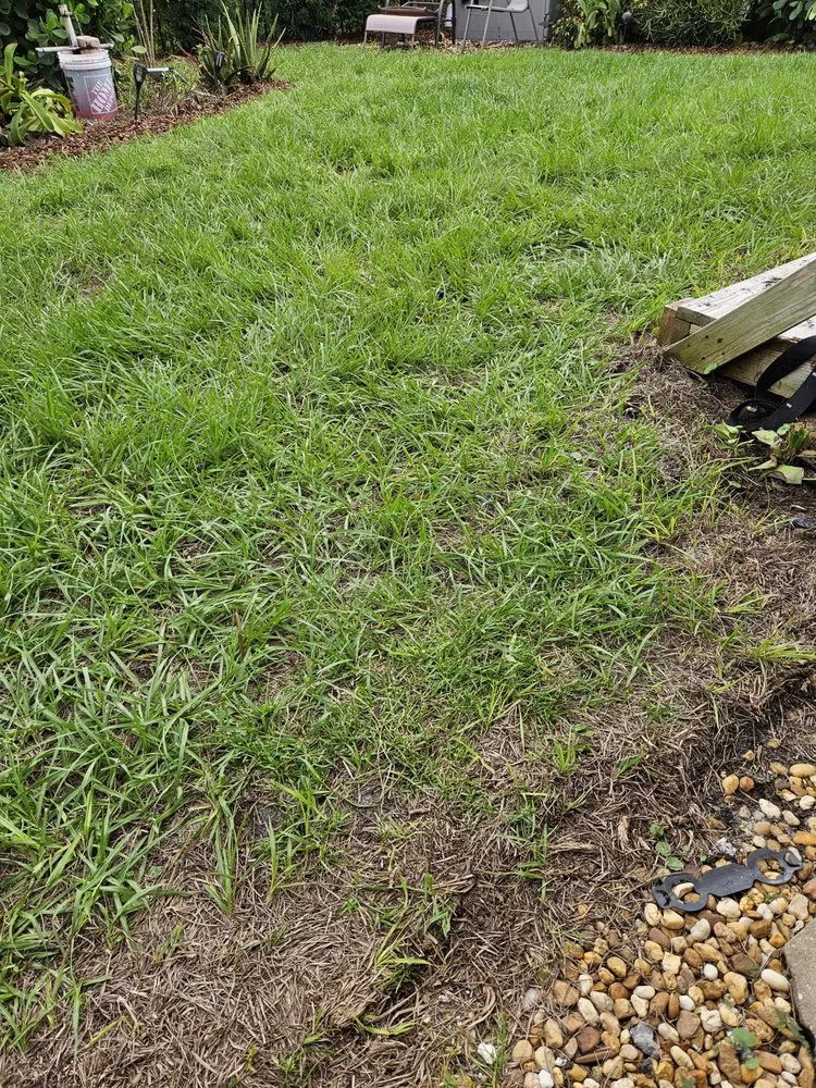 Custom lawn care service for homes in Selbyville, DE by Coastal Edge Landscape