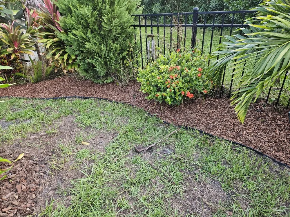 Professional yard cleanup service in Selbyville, DE by Coastal Edge Landscape