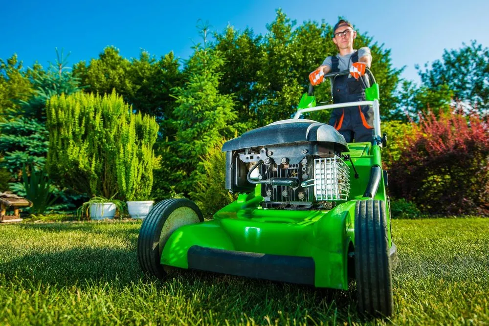 Custom yard cleanup service experts serving Selbyville, DE - Coastal Edge Landscape