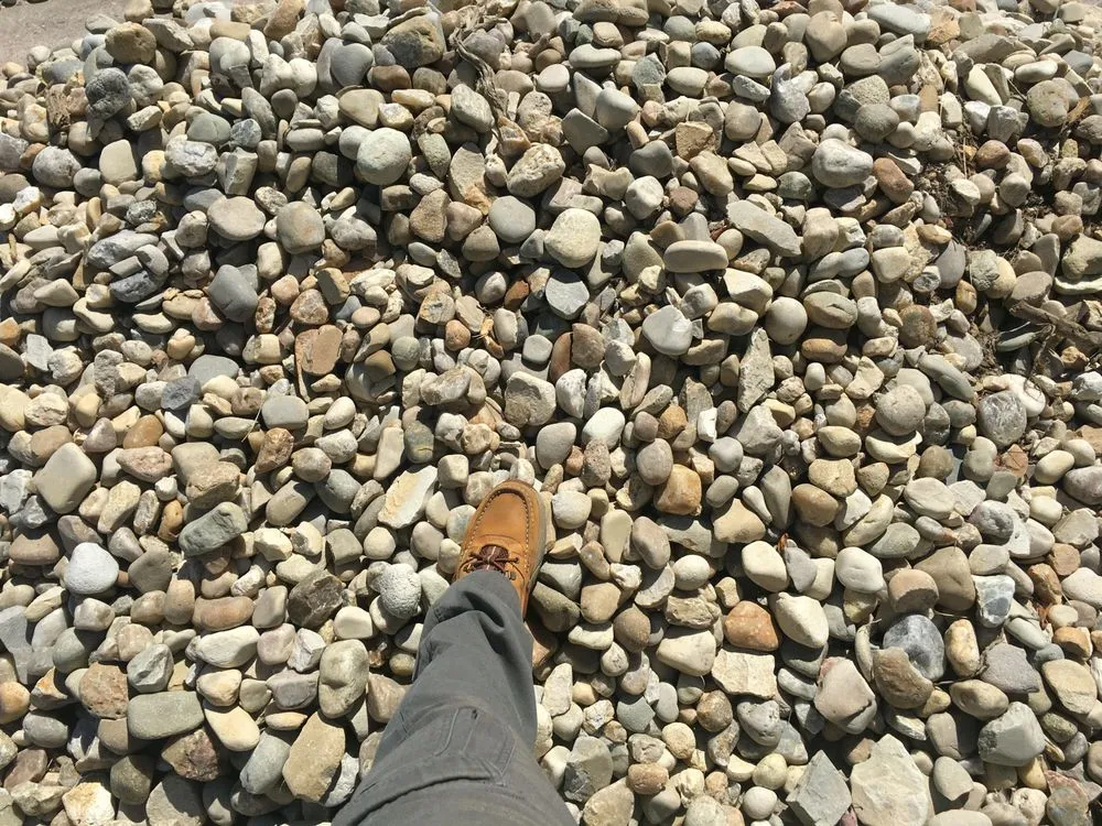 Expert yard maintenance for homes across Portsmouth, VA - Coastal Edge Landscaping