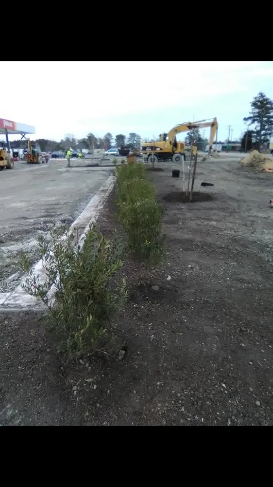 Affordable yard cleanup service for outdoor upgrades in Portsmouth, VA by Coastal Edge Landscaping