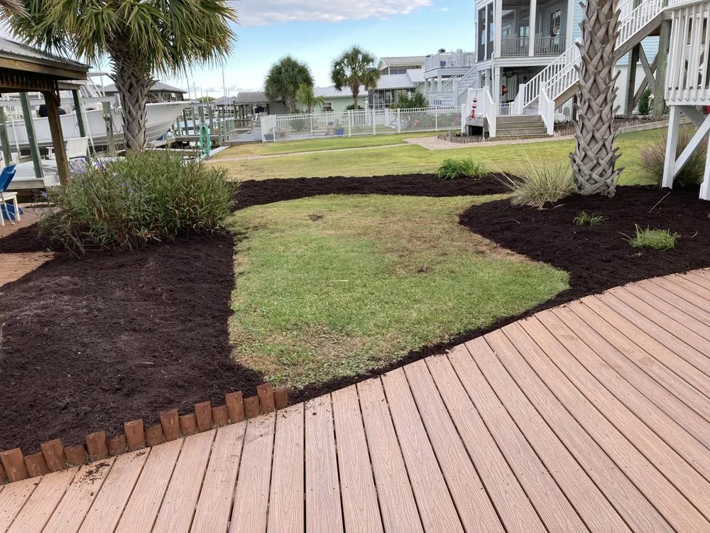 Trusted yard cleanup service experts serving Sneads Ferry, NC - Coastal Elite Services