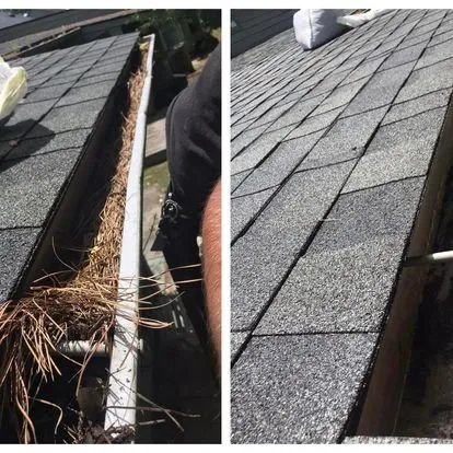 Trusted landscape installation in Sneads Ferry, NC - Coastal Elite Services