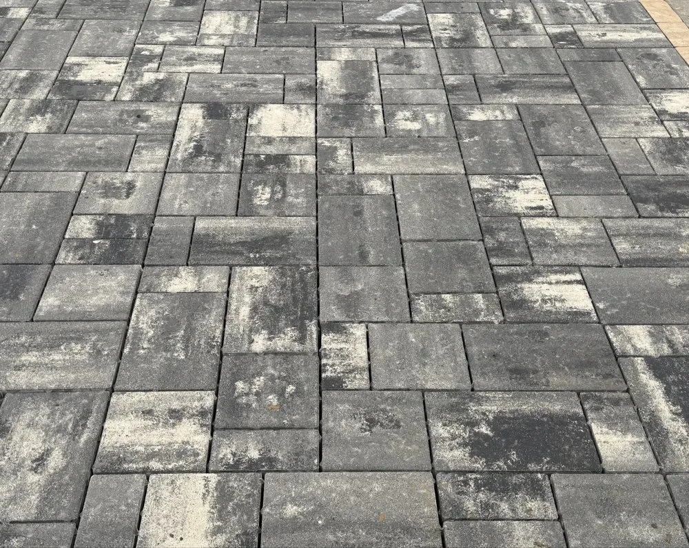 Affordable lawn care service for year-round maintenance across Stafford, VA - Coastal Enterprises