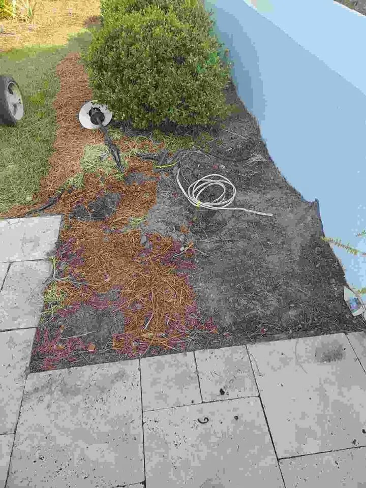 Top-rated yard maintenance in Panama City Beach, FL by Coastal Estate Maintence And Repair