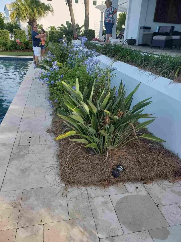 Affordable yard cleanup service in Panama City Beach, FL - Coastal Estate Maintence And Repair