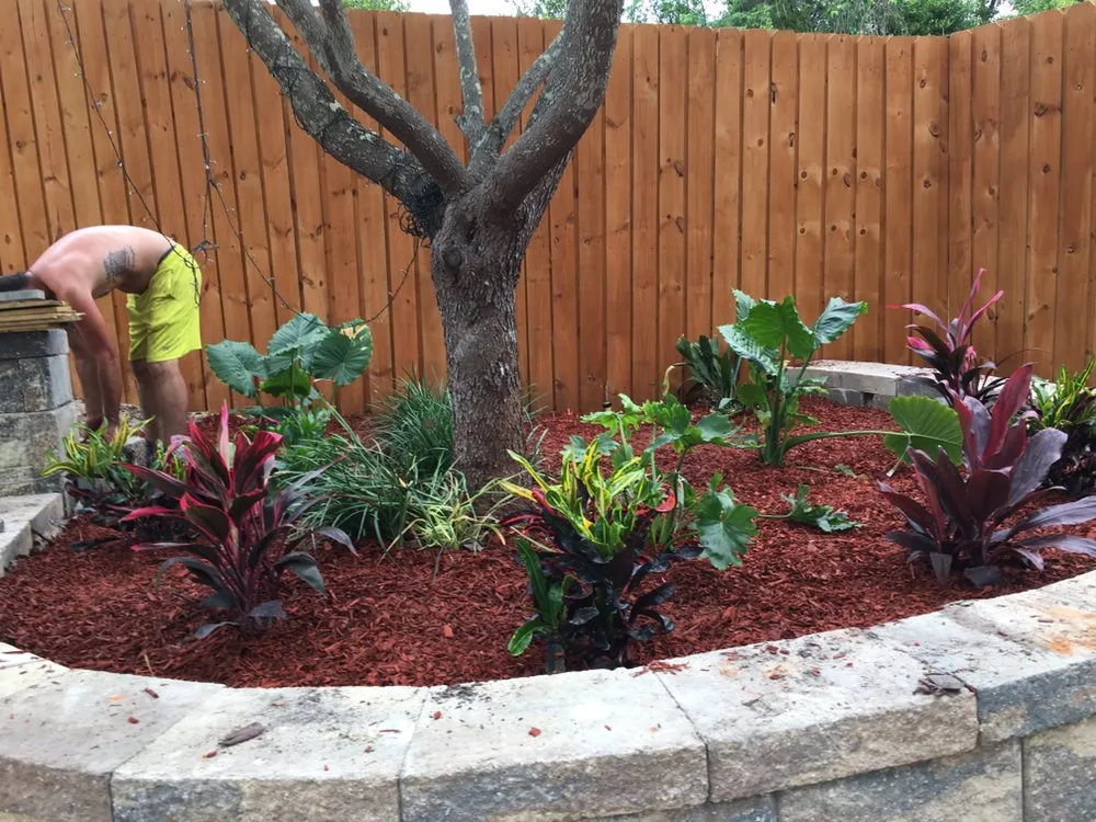 Top-rated lawn care service for beautiful yards in Panama City Beach, FL by Coastal Estate Maintence And Repair