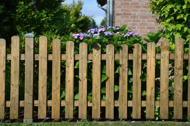 Top-rated landscape design for year-round maintenance in Corpus Christi, TX by Coastal Fence Contractor of Corpus Christi
