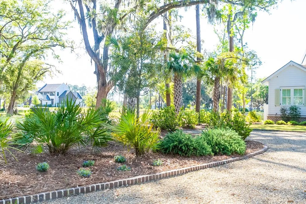 Expert landscape installation for residential properties across Bluffton, SC - Coastal Gardenia