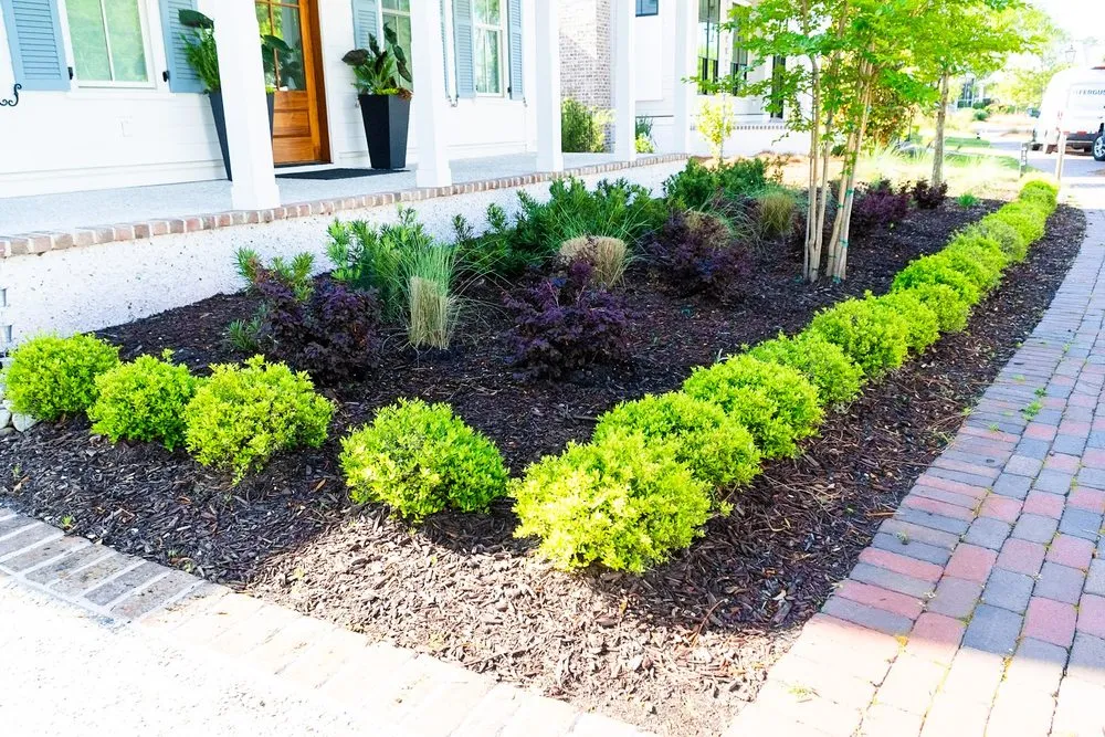Local yard maintenance experts serving Bluffton, SC - Coastal Gardenia