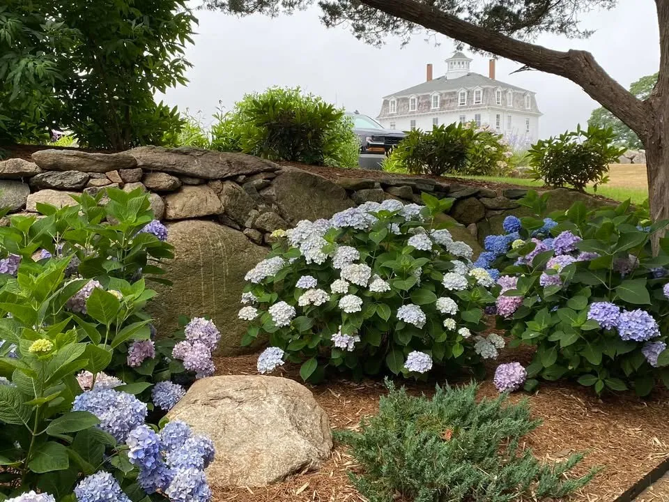 Local landscape design for beautiful yards across Westport, MA - Coastal Gardens & Landscapes