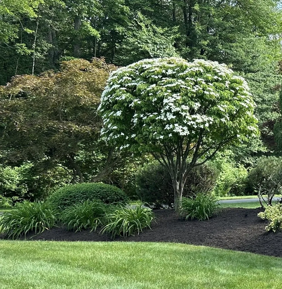 Reliable landscape design experts serving North Providence, RI - Coastal Green Landscaping