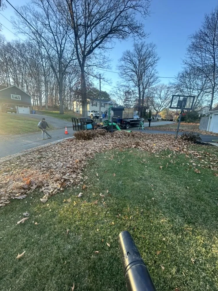 Affordable landscape design in North Providence, RI by Coastal Green Landscaping