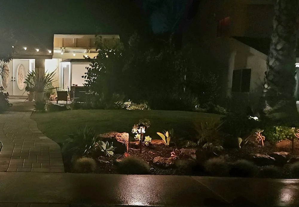 Top-rated yard cleanup service experts serving Anaheim, CA - Coastal Greenscape