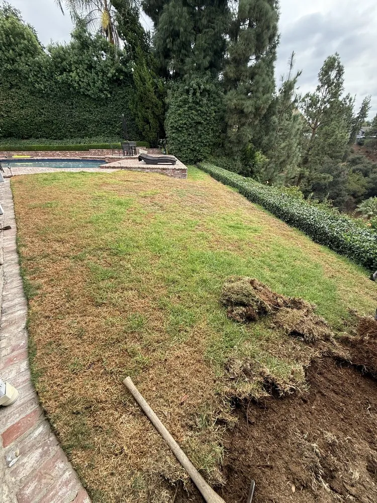 Custom landscape installation in Inglewood, CA by Coastal Grove Landscaping