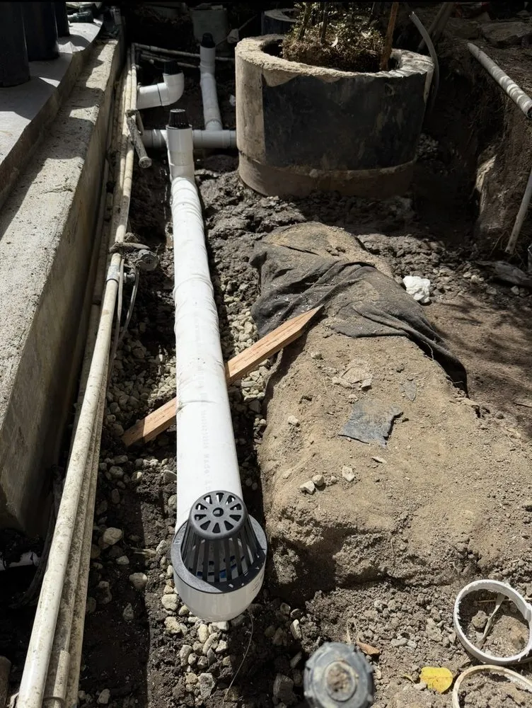 Local residential landscaping for year-round maintenance in Inglewood, CA by Coastal Grove Landscaping