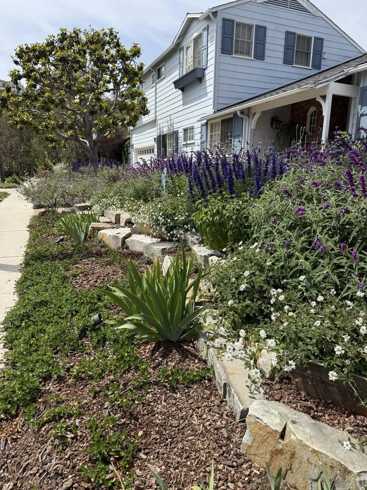 Professional lawn mowing service in Inglewood, CA by Coastal Grove Landscaping