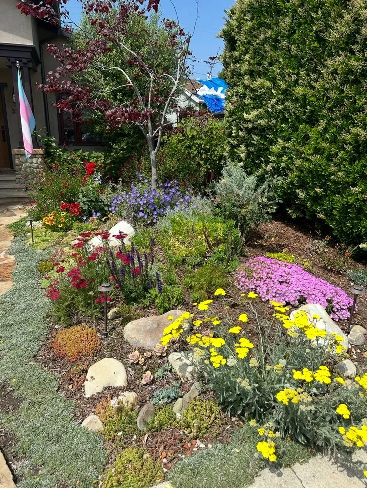 Top-rated residential landscaping experts serving Inglewood, CA - Coastal Grove Landscaping