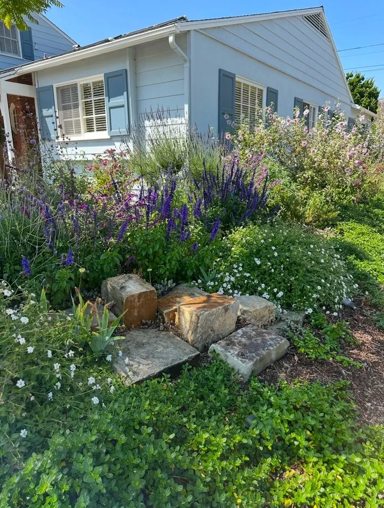 Custom landscaping services experts serving Inglewood, CA - Coastal Grove Landscaping