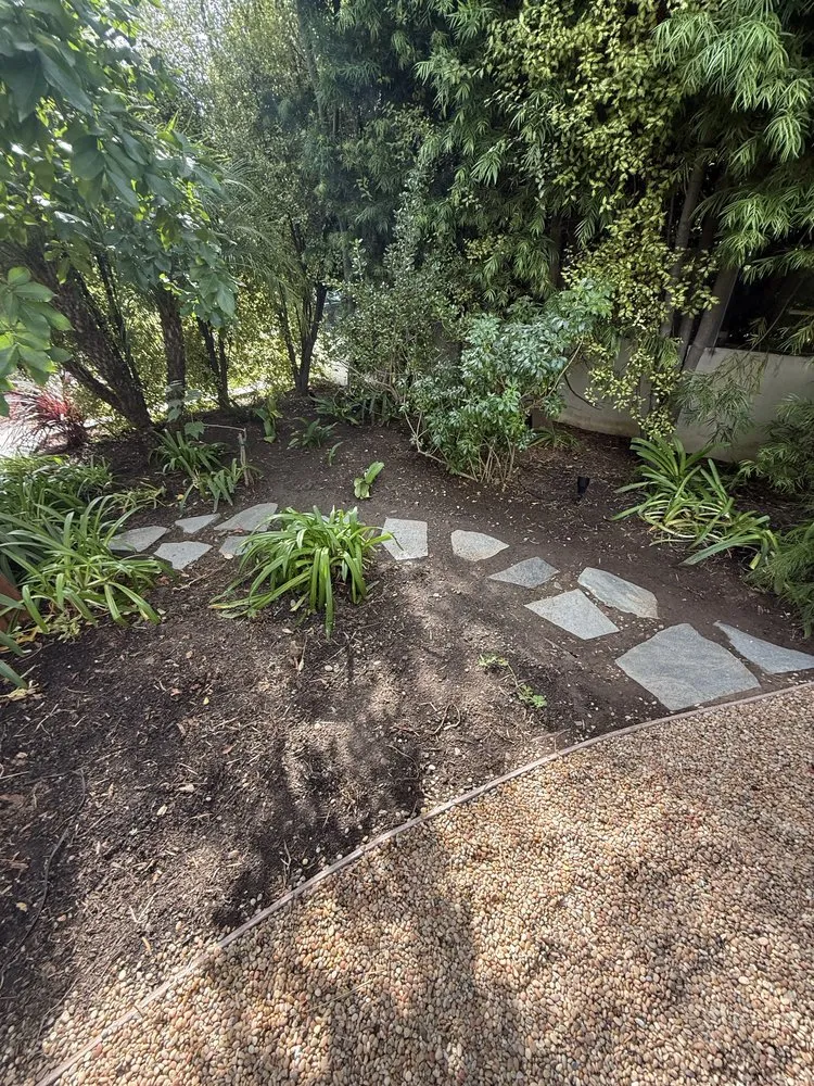 Local landscape design in Inglewood, CA by Coastal Grove Landscaping