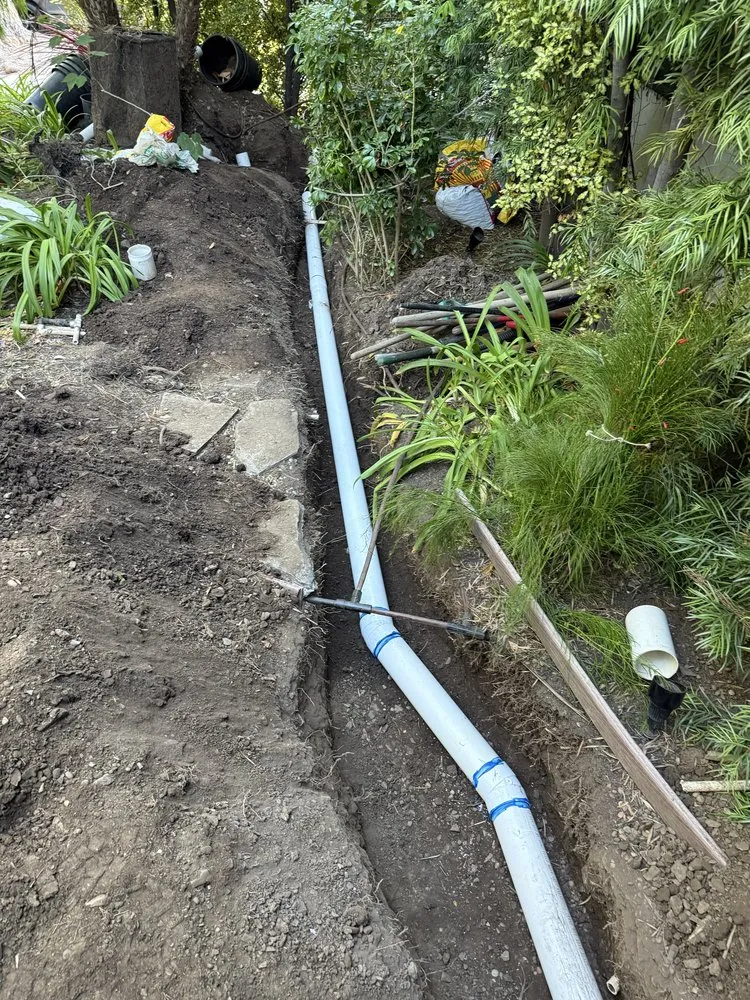 Trusted landscaping services in Inglewood, CA - Coastal Grove Landscaping