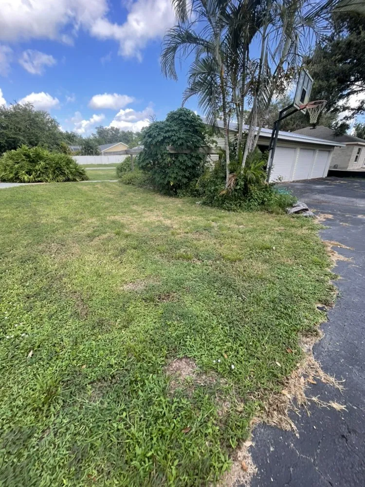 Affordable garden landscaping in Port Charlotte, FL - Coastal Home And Lawn Services