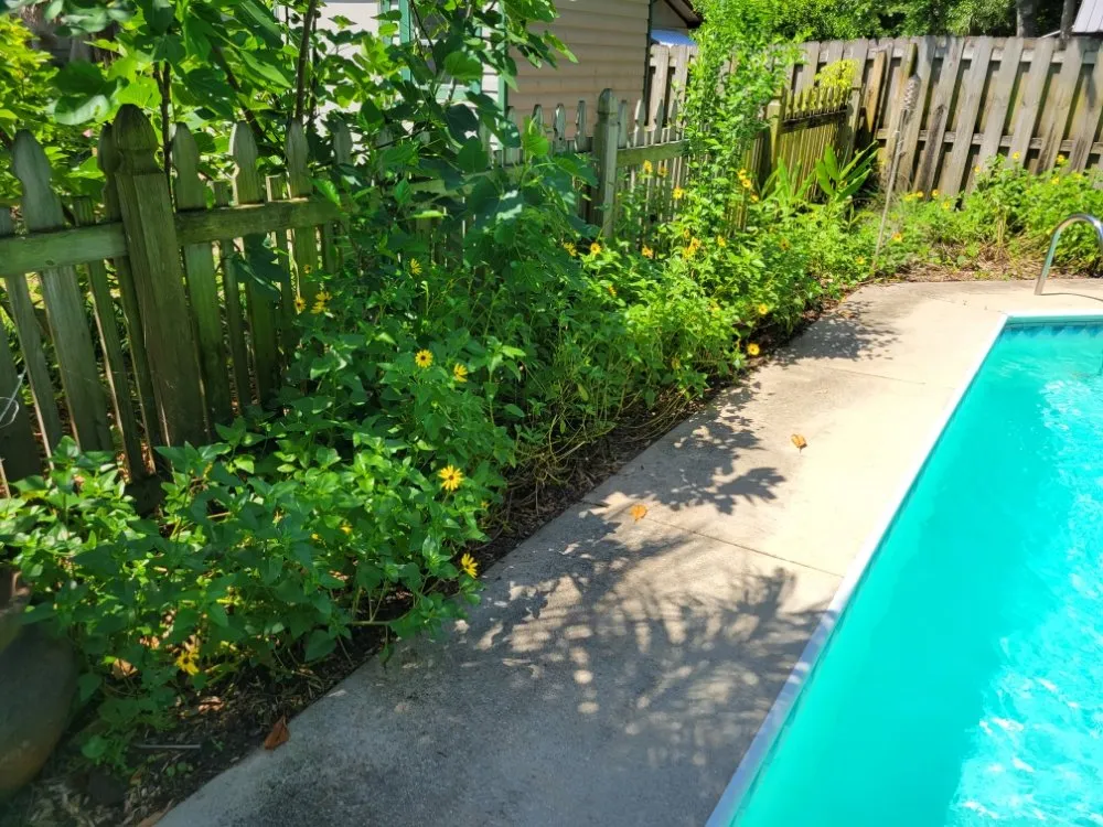 Affordable outdoor landscaping experts serving Gulf Breeze, FL - Coastal Homesteads