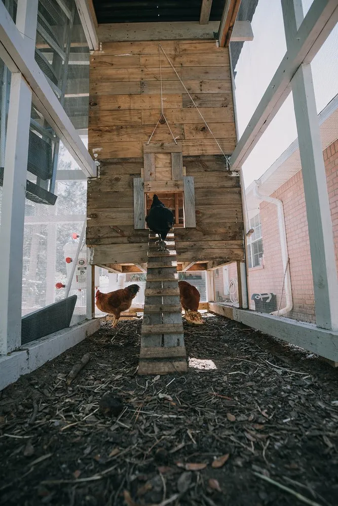 Local lawn care service for outdoor upgrades in Gulf Breeze, FL by Coastal Homesteads