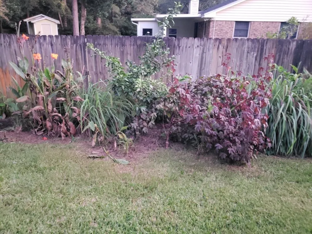 Professional yard cleanup service for homes across Gulf Breeze, FL - Coastal Homesteads