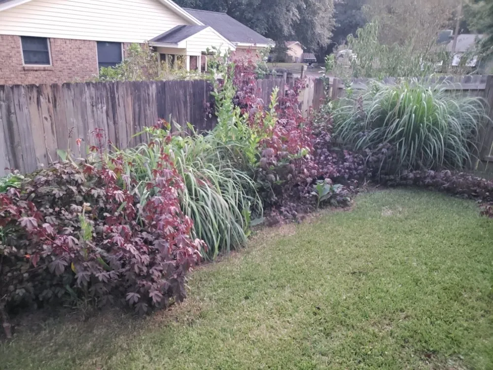 Trusted landscape installation for homes in Gulf Breeze, FL by Coastal Homesteads