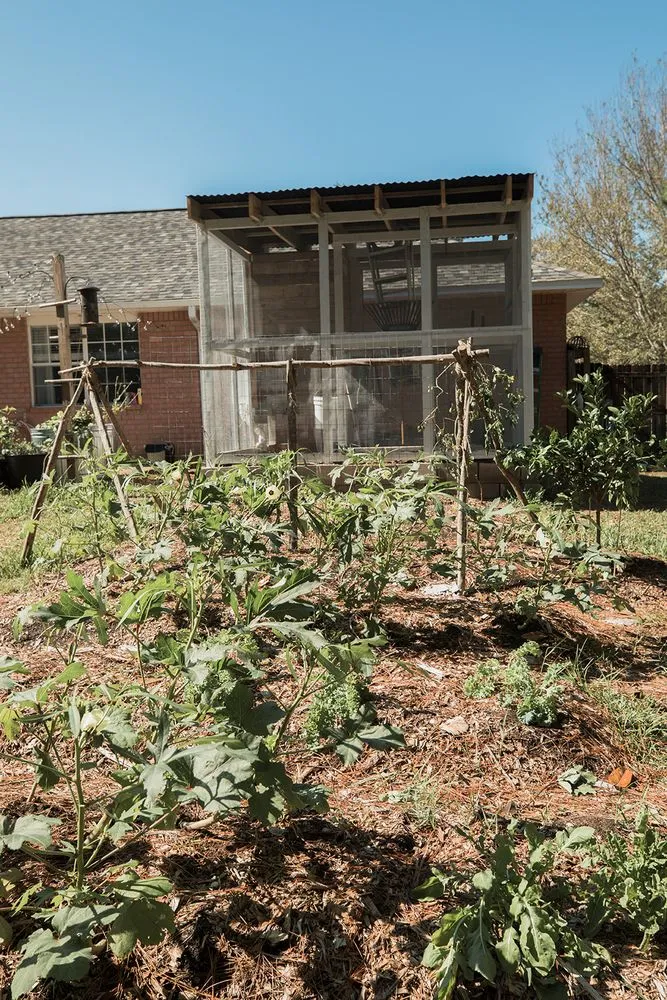 Trusted lawn mowing service with custom design in Gulf Breeze, FL by Coastal Homesteads