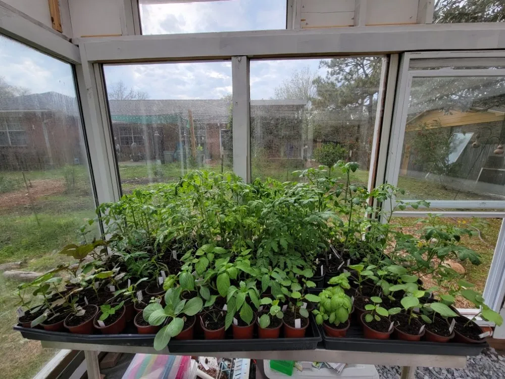 Reliable landscape installation in Gulf Breeze, FL by Coastal Homesteads