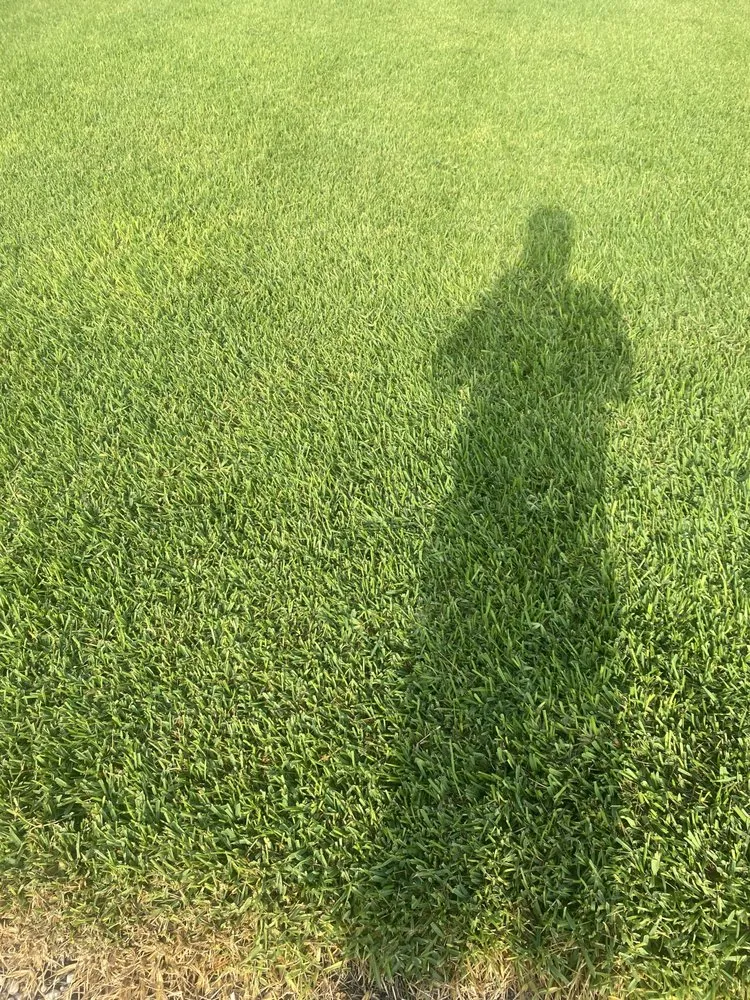 Top-rated garden landscaping near you in Newport, NC by Coastal Horticulture Service