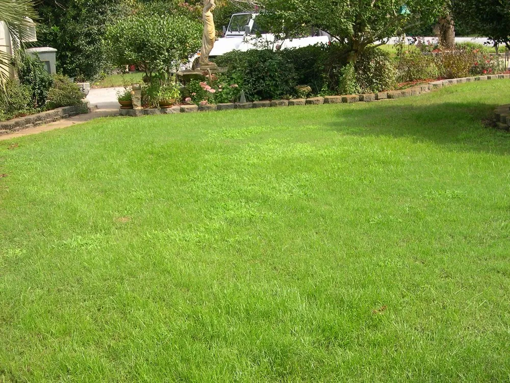 Affordable yard maintenance near you across Newport, NC - Coastal Horticulture Service