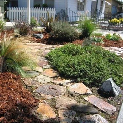 Reliable lawn care service with custom design in Houston, TX by Coastal Irrigation and Landscape Management