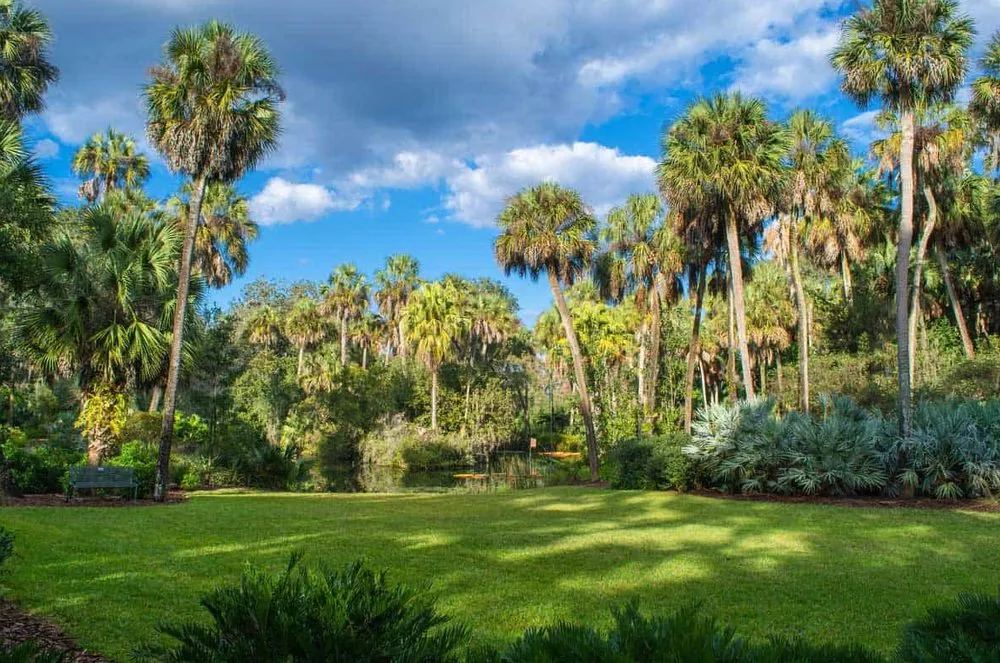 Professional landscape design in Brunswick, GA - Coastal Islandscapes