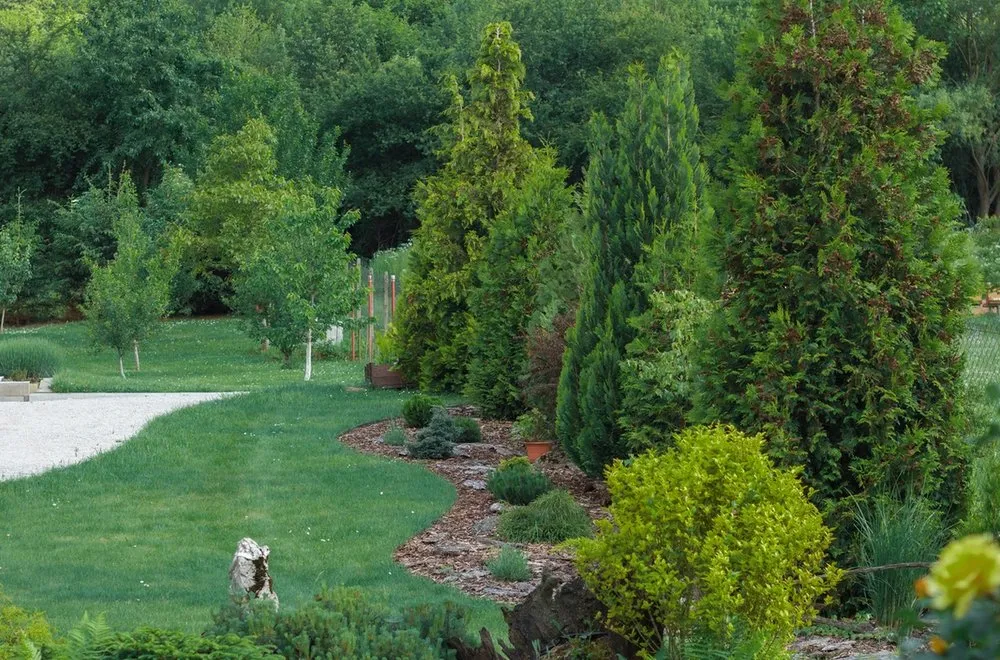 Reliable lawn care service with custom design across Brunswick, GA - Coastal Islandscapes