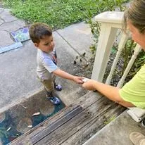 Local garden landscaping for year-round maintenance in Brooksville, FL by Coastal Land Solutions