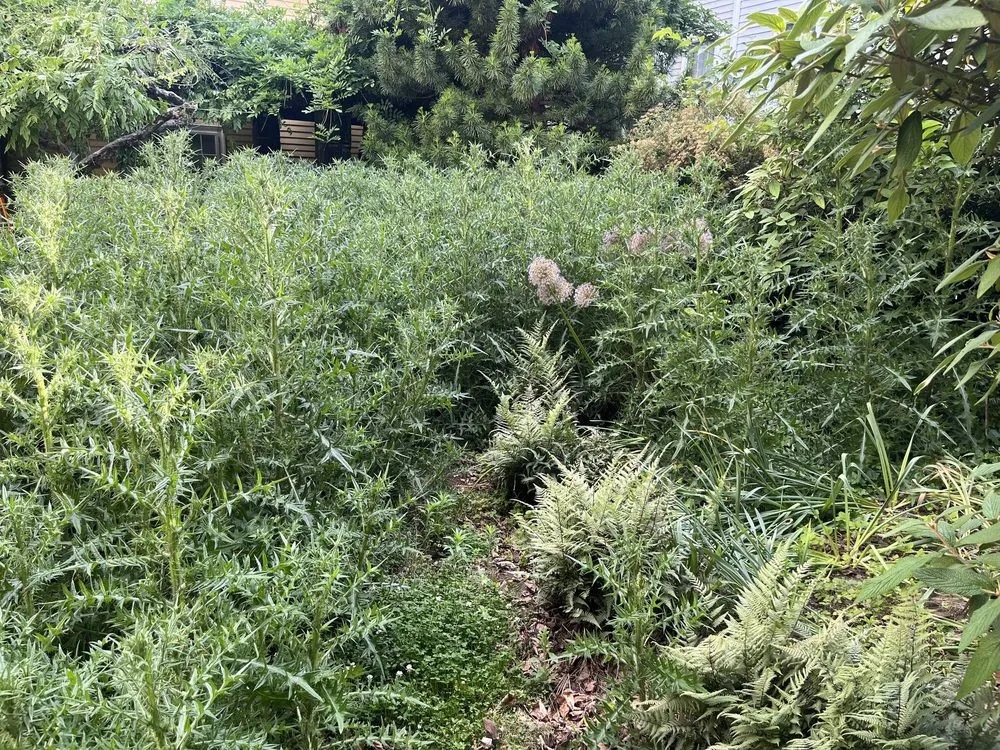 Trusted landscaping services for outdoor upgrades in Fall River, MA by Coastal Landscape & Construction